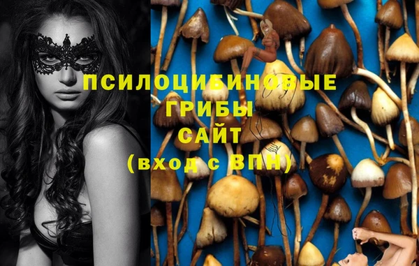 шишки Алексеевка