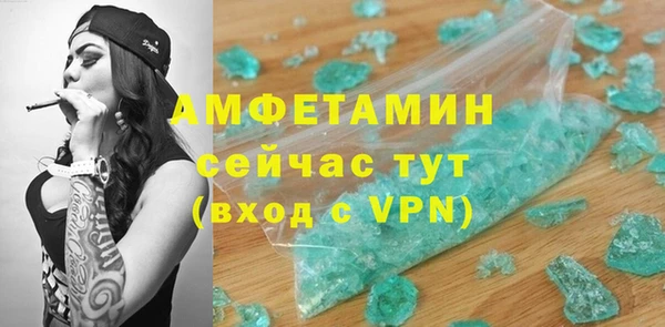 индика Пересвет