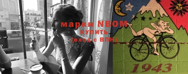 индика Пересвет