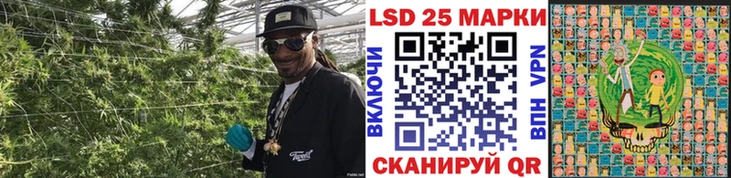 Марки NBOMe 1,5мг Алексин