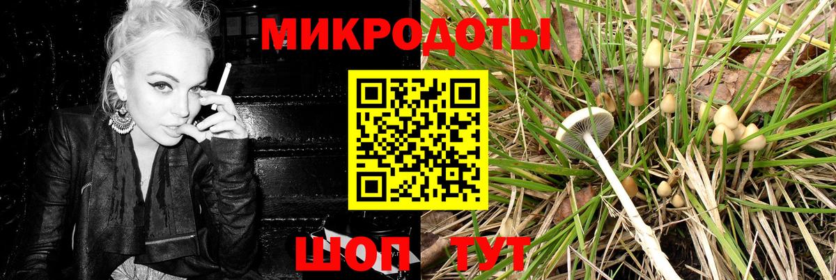 Алексин  Псилоцибиновые грибы Psilocybine cubensis  Вход с VPN 