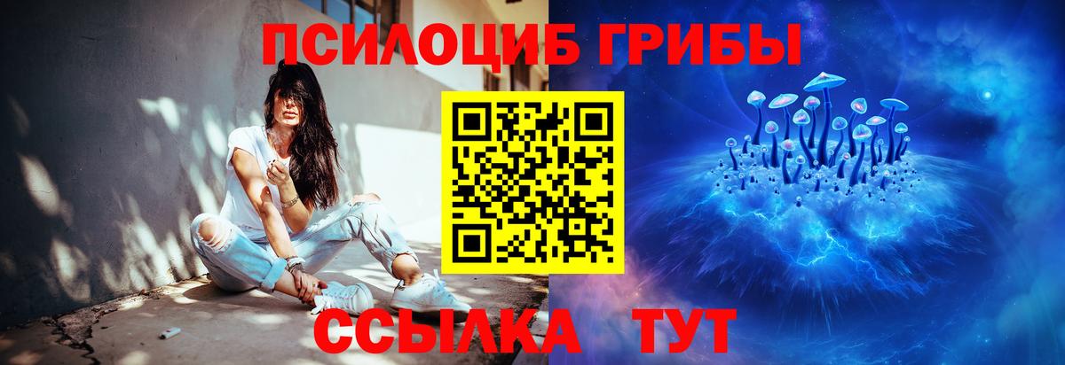 Псилоцибиновые грибы MAGIC MUSHROOMS Алексин