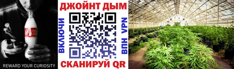 МАРИХУАНА AK-47  купить  цена  Алексин 
